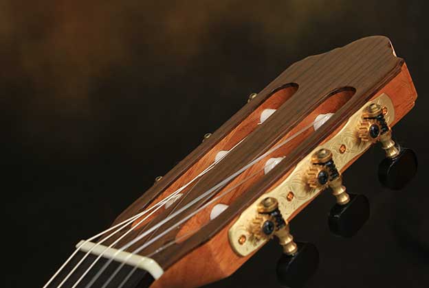 drevesina-1-guitar