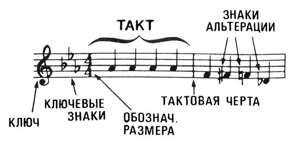 музыкальная теория для чайников нотная запись