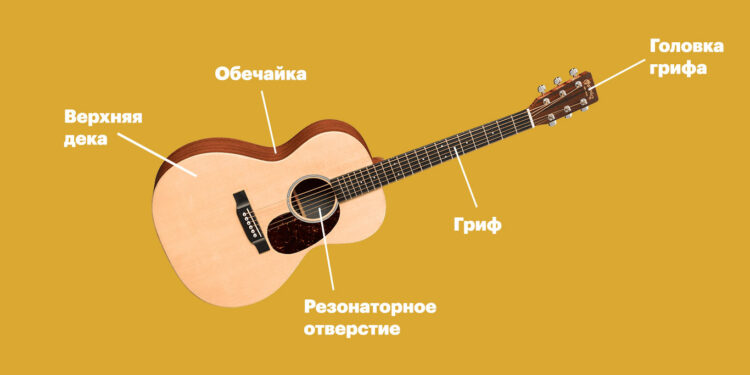 Словарь гитариста: как устроена акустическая гитара