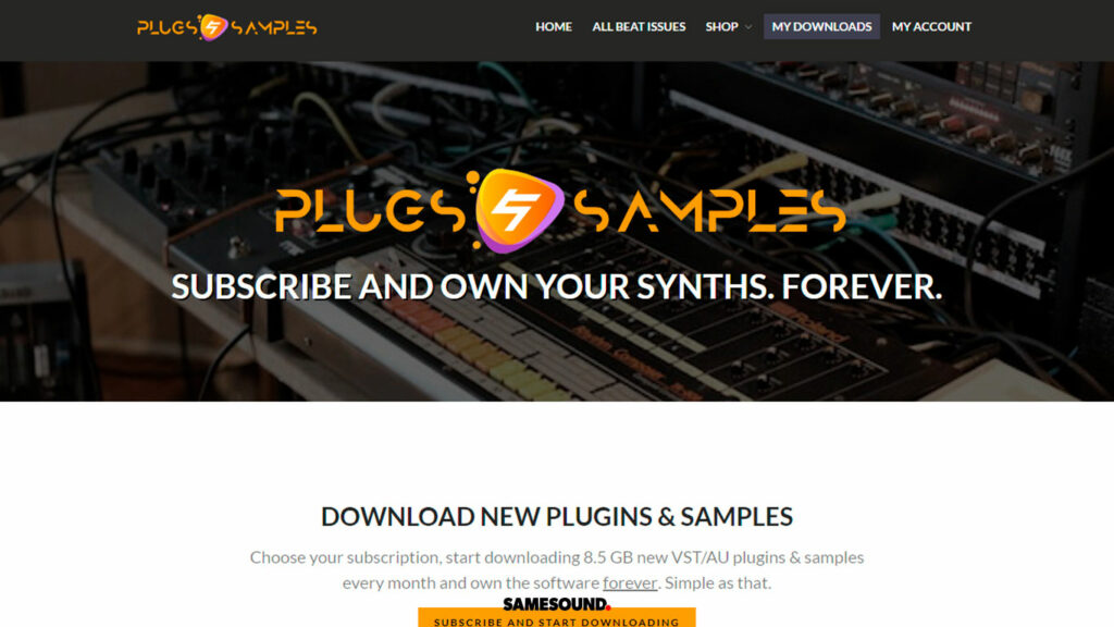 Plugs-Samples.com, Plugs & Samples Beat Magazine