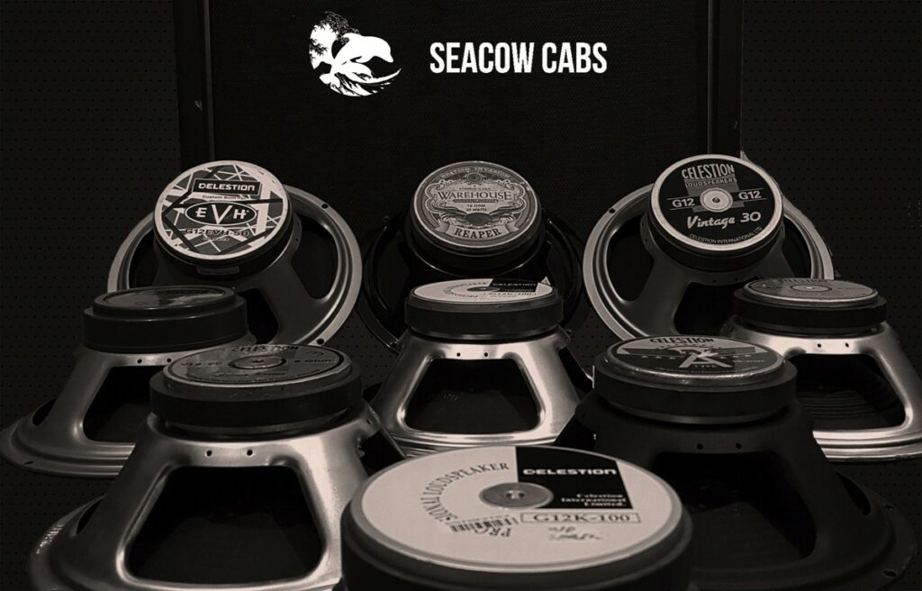 Бесплатные IR-импульсы Audio Assault Seacow Cabs Teaser Pack