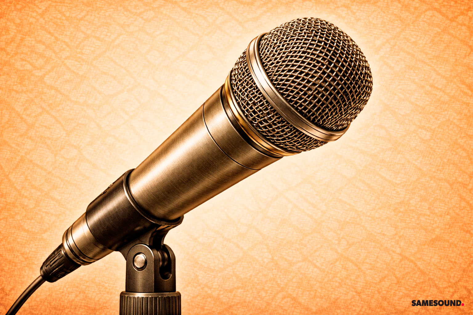 Динамический микрофон для сцены и речи: прочная конструкция и хорошая устойчивость к шумной комнате