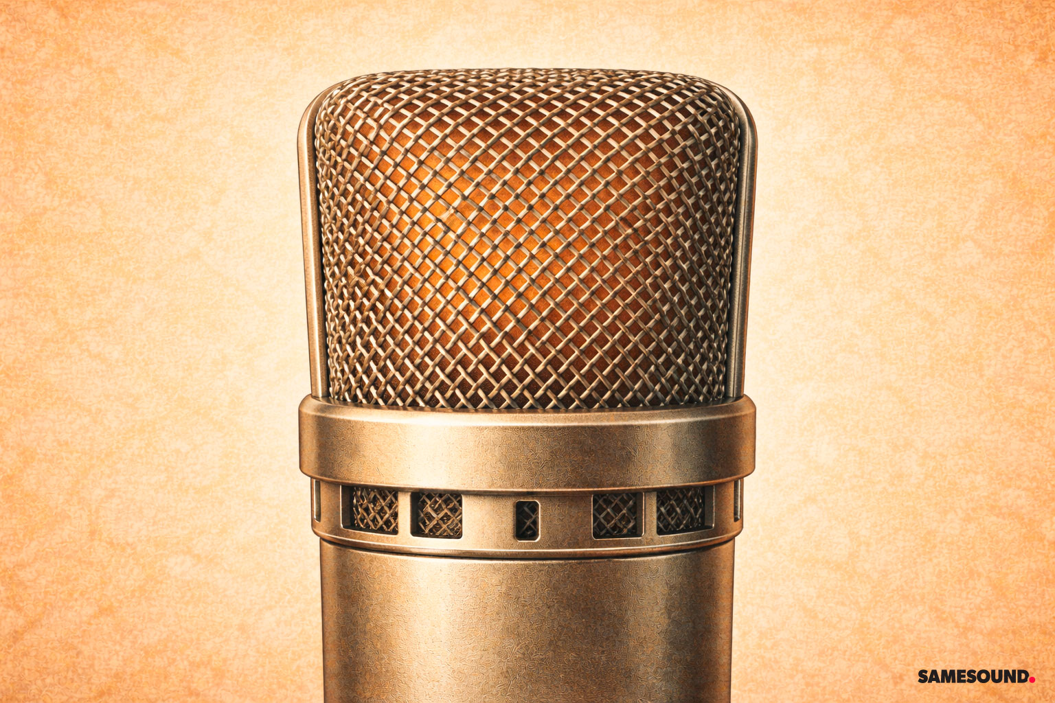 Схема гриля: металлическая решётка и внутренняя вставка, снижающая плозивы и защищающая капсюль