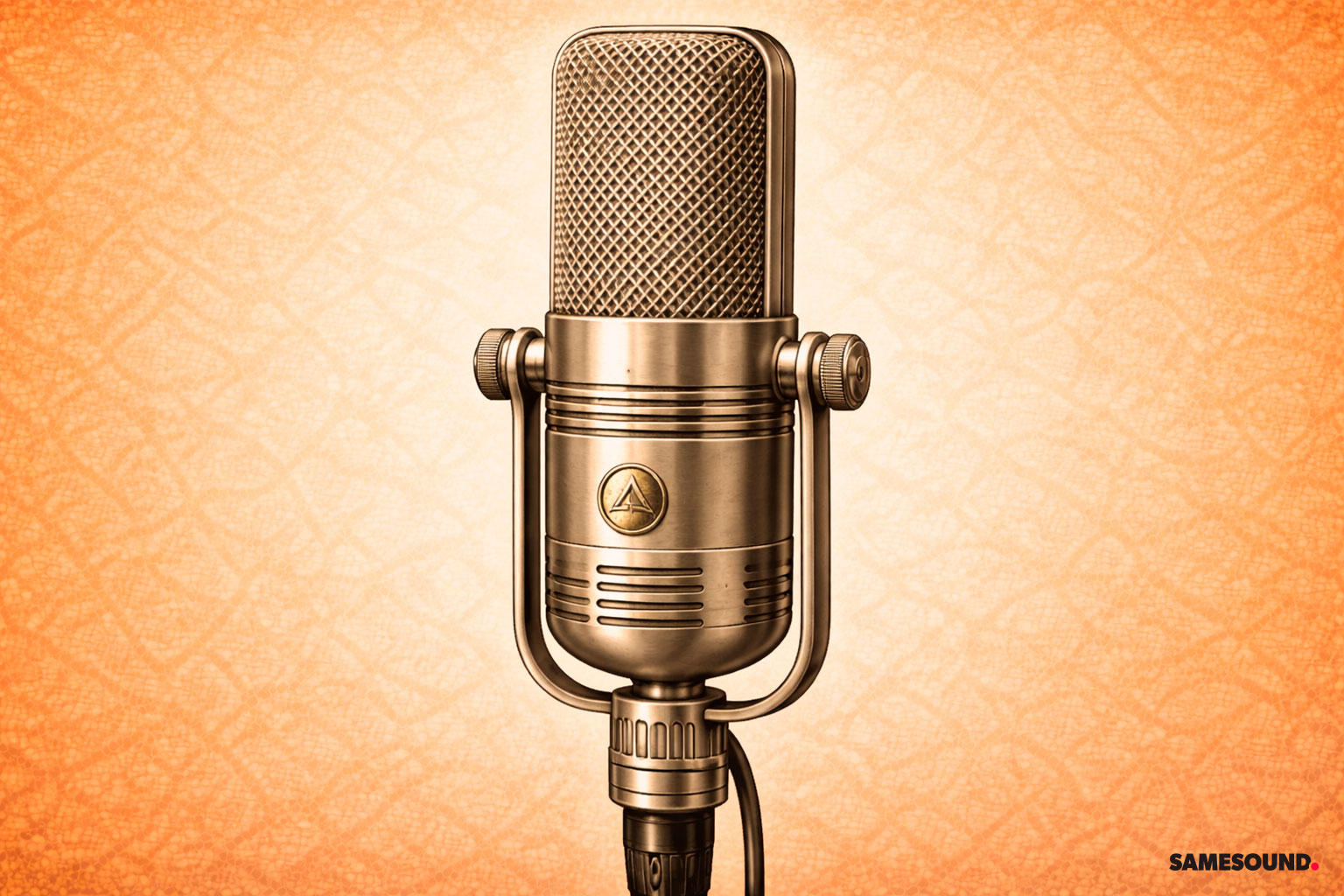 Ленточный микрофон: тонкая лента в магнитном поле, мягкий верх, требует аккуратного обращения