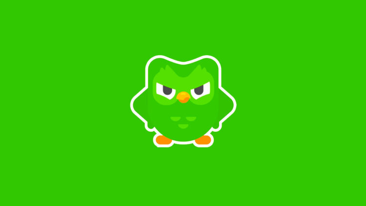 Duolingo разрабатывает приложение для изучения музыки и музыкальной теории