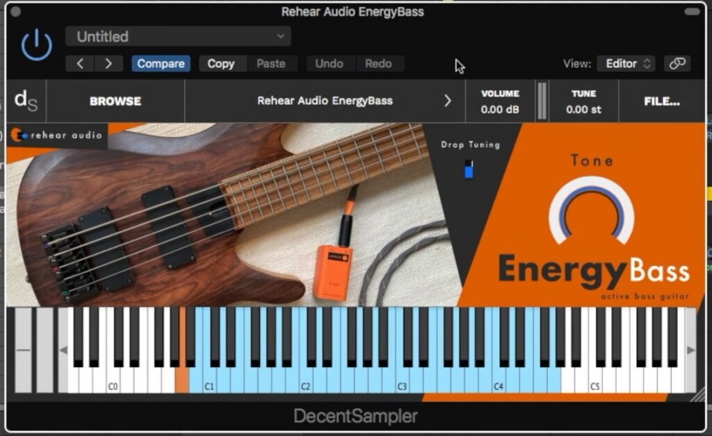 бесплатная библиотека бас-гитары Rehear Audio EnergyBass